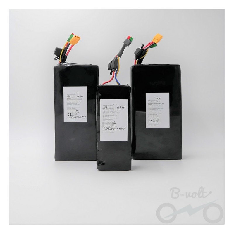 Batterie Vélo électrique 72V 29Ah Triangle Souple - Li-ion Ebike + Chargeur 4A