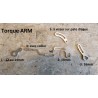 Torque Arm